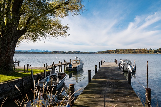 己的最佳舞 己的最佳舞