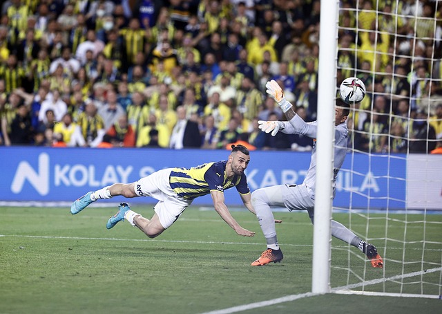 他为这支德 他为这支德