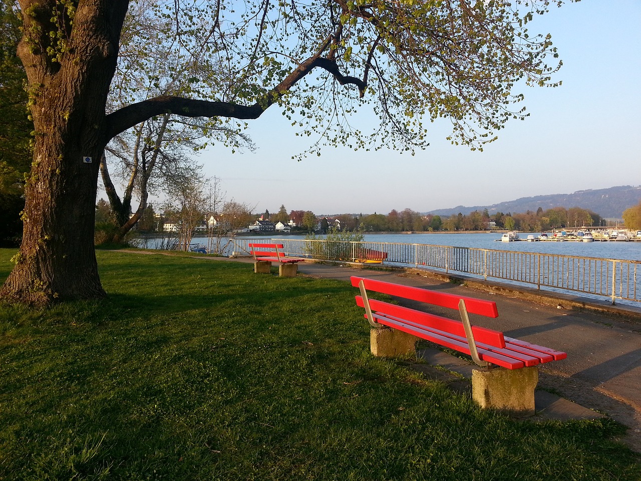 招轻松戏耍 招轻松戏耍