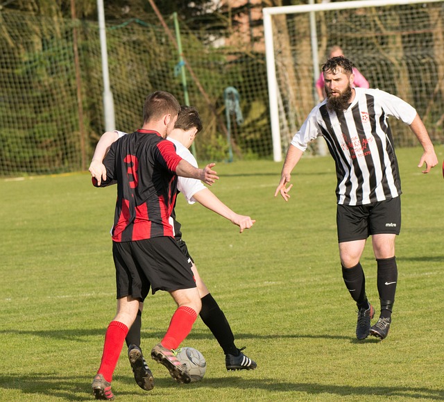 的教训是 的教训是