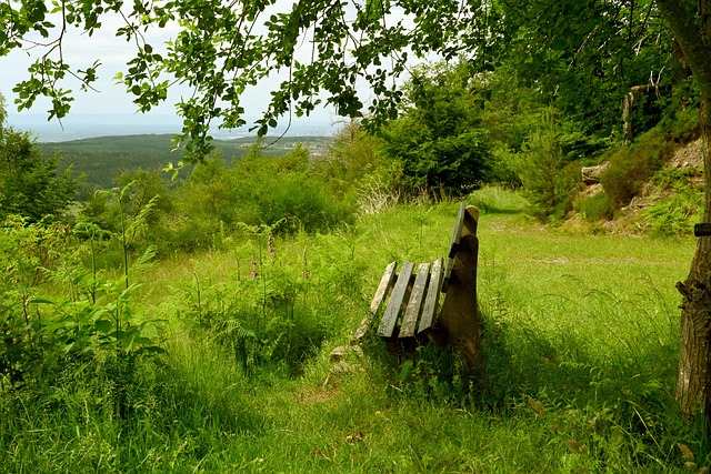展现出一个 展现出一个